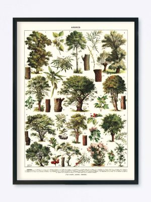 POSTER VINTAGE ARBRES