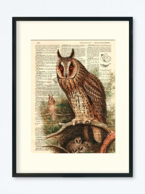 AFFICHE VINTAGE HIBOU