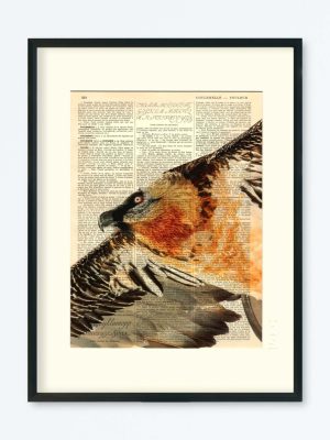 AFFICHE VINTAGE GYPAYÈTE – COLLECTION CAMILLE DARBELLAY