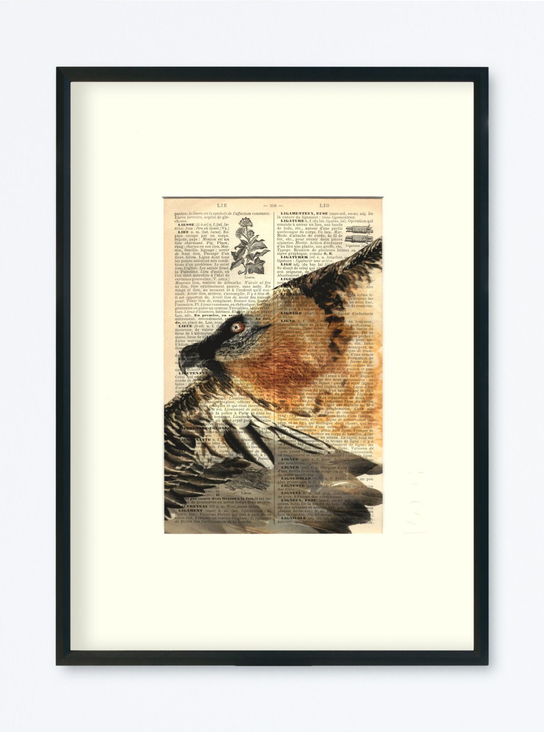 AFFICHE VINTAGE GYPAYÈTE – COLLECTION CAMILLE DARBELLAY – Image 4