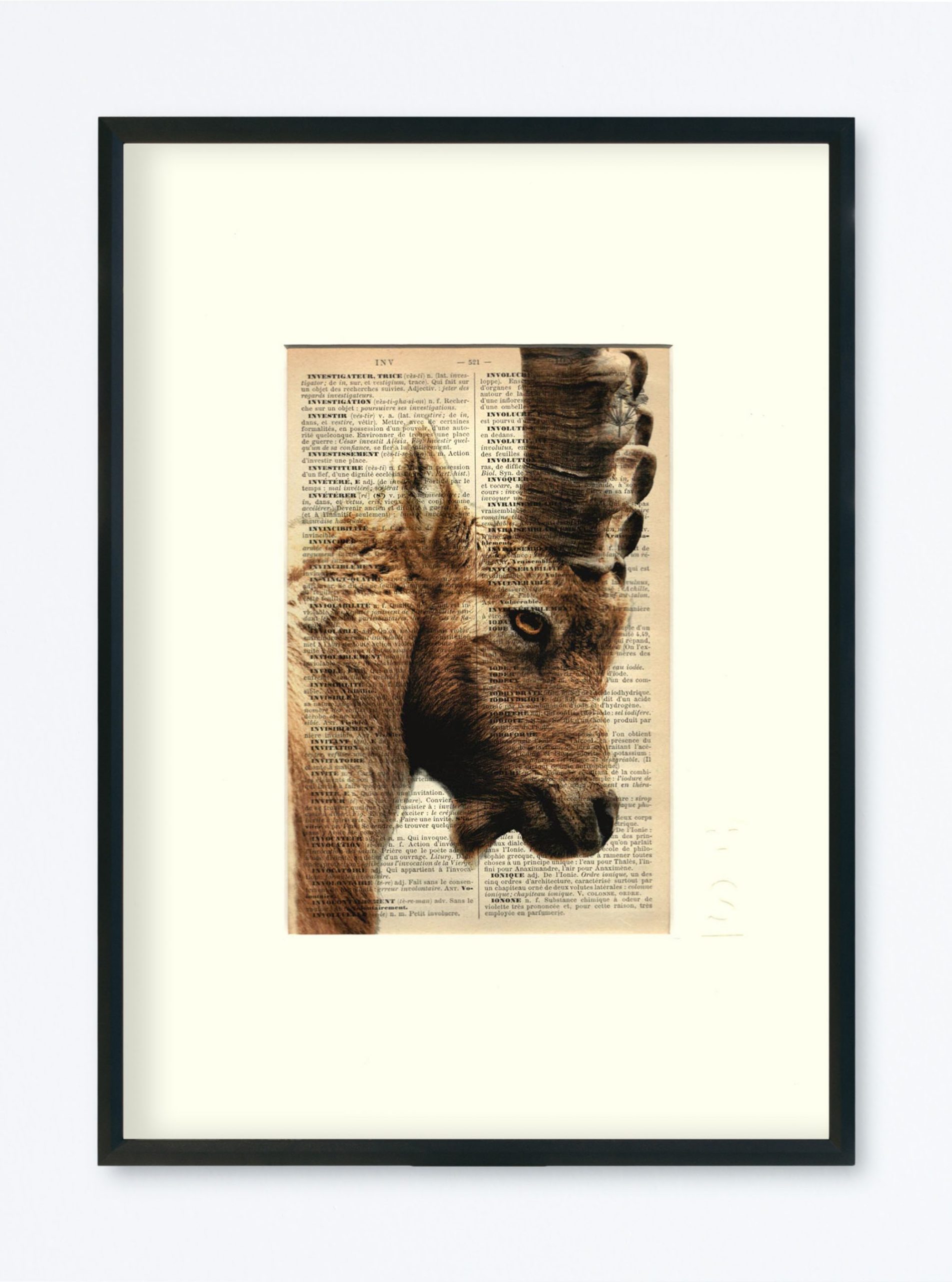 AFFICHE VINTAGE BOUQUETIN – COLLECTION CAMILLE DARBELLAY – Image 6