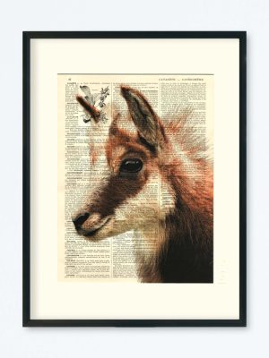 AFFICHE VINTAGE CHAMOIS – COLLECTION CAMILLE DARBELLAY