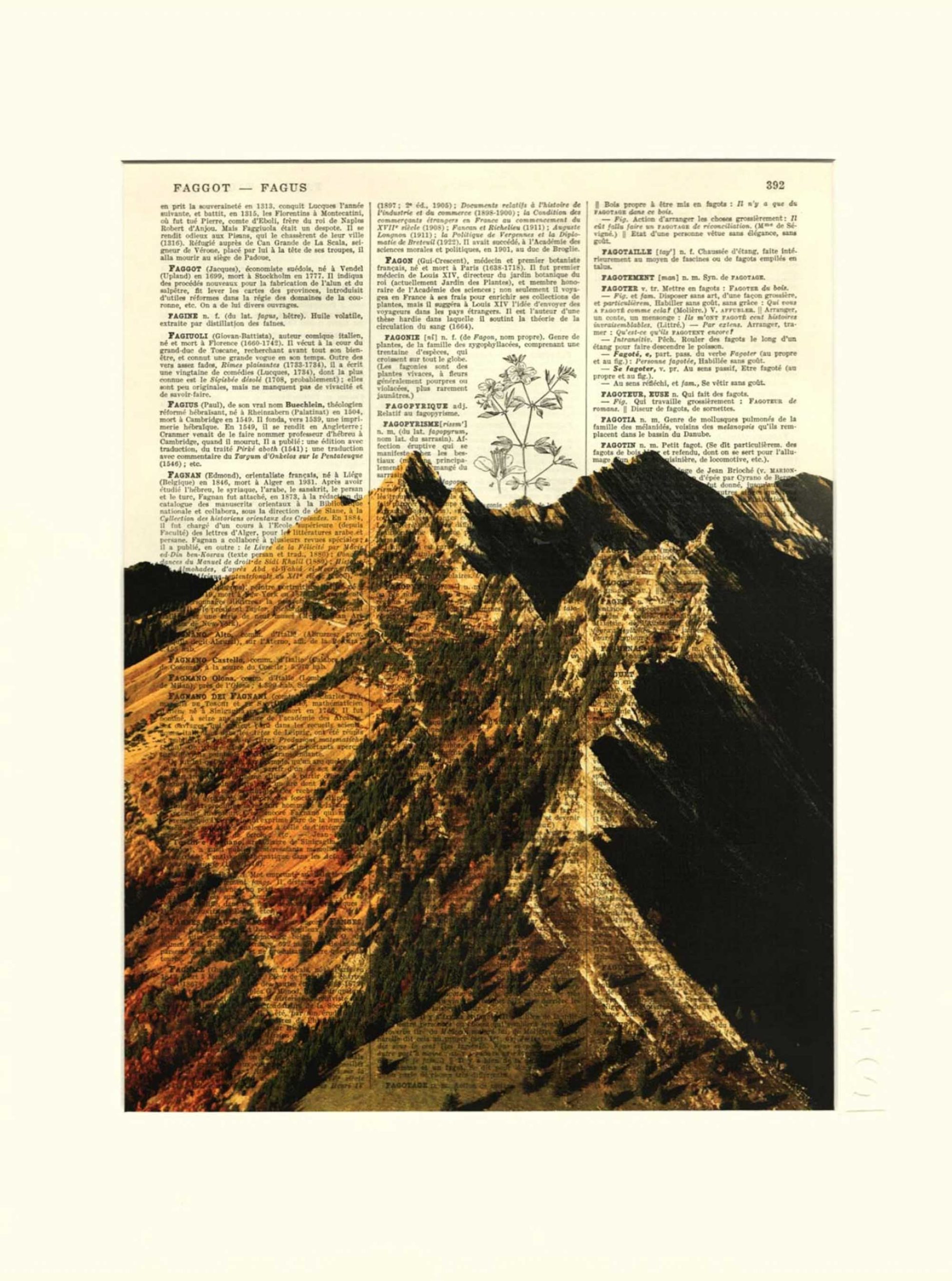 AFFICHE VINTAGE CAPE AU MOINE – COLLECTION FACE MONTAGNE – Image 2