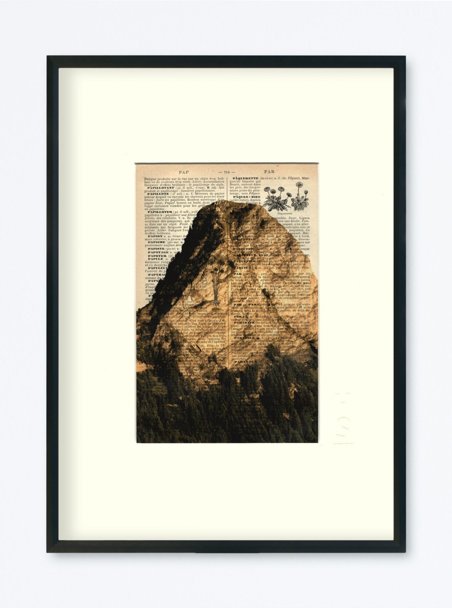 AFFICHE VINTAGE DENT DE JAMAN – COLLECTION FACE MONTAGNE – Image 6