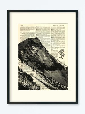 AFFICHE VINTAGE DENT DE LYS – COLLECTION FACE MONTAGNE