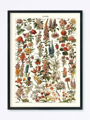 POSTER VINTAGE FLEURS