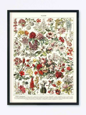POSTER VINTAGE FLEURS