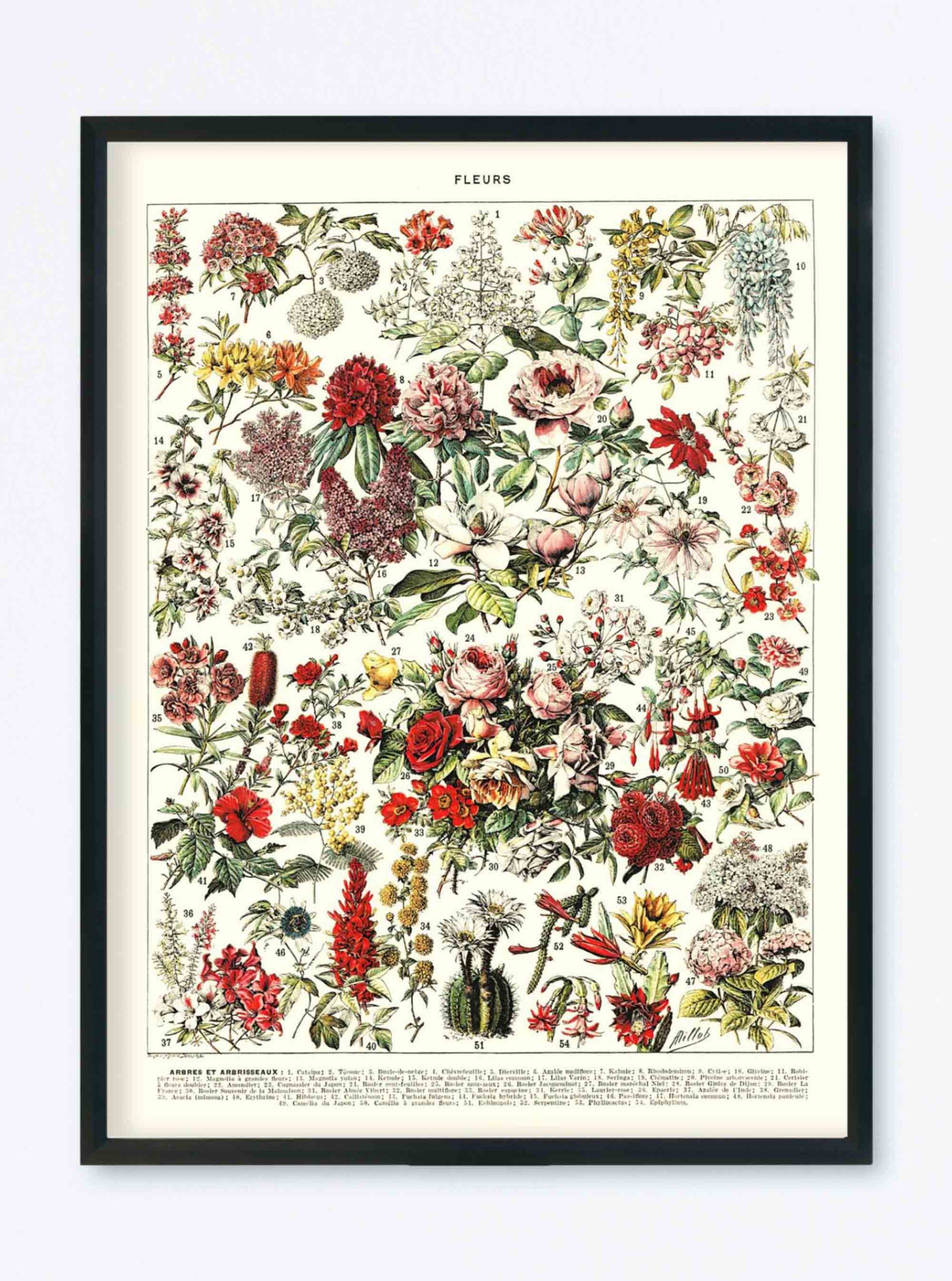 POSTER VINTAGE FLEURS