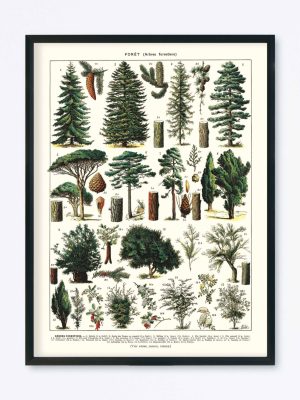 POSTER VINTAGE FORÊT