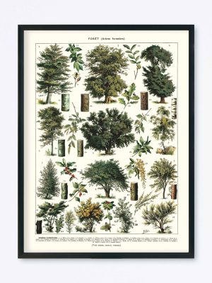 POSTER VINTAGE FORÊT