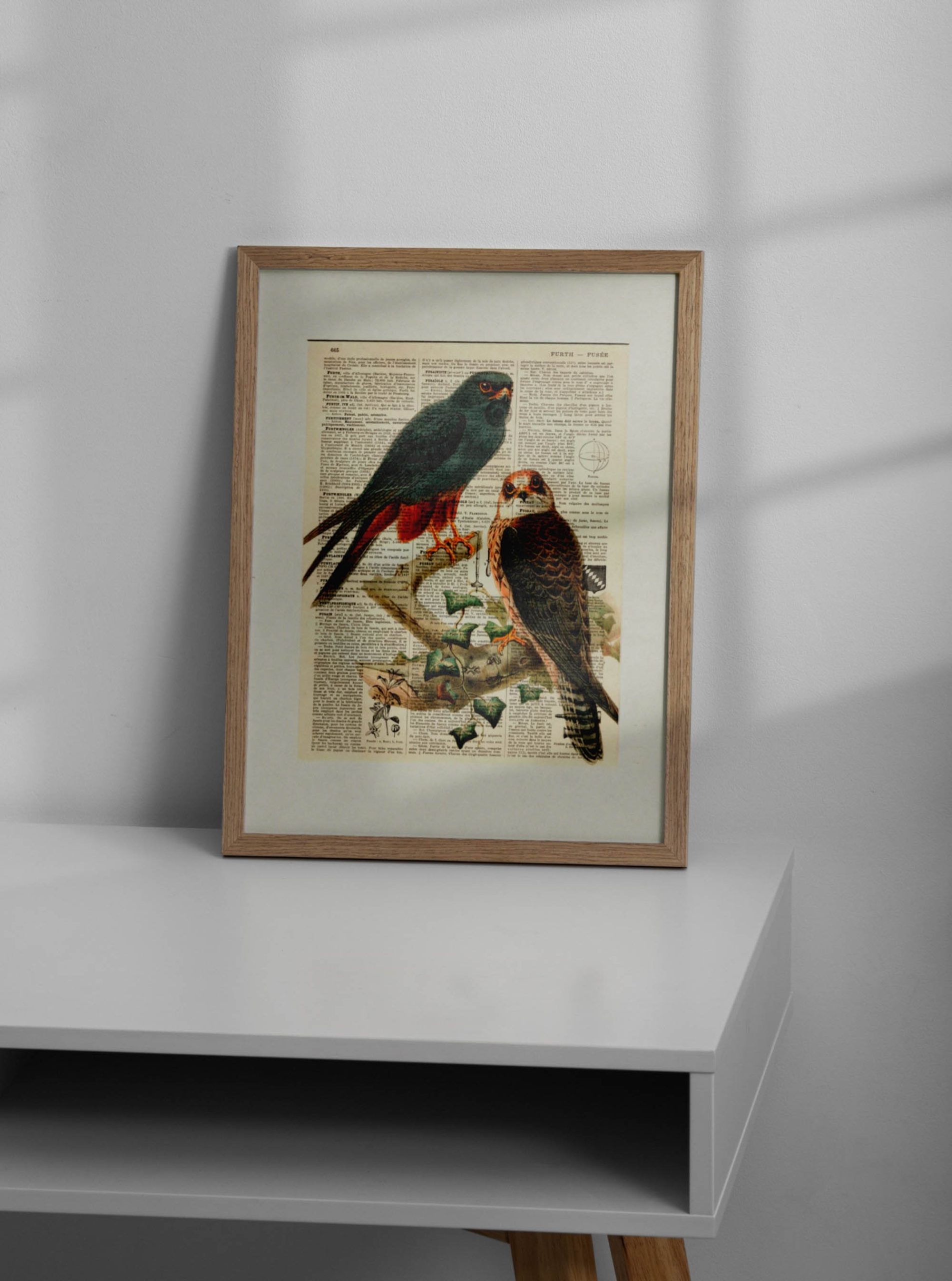 AFFICHE VINTAGE ÉPERVIER – Image 2