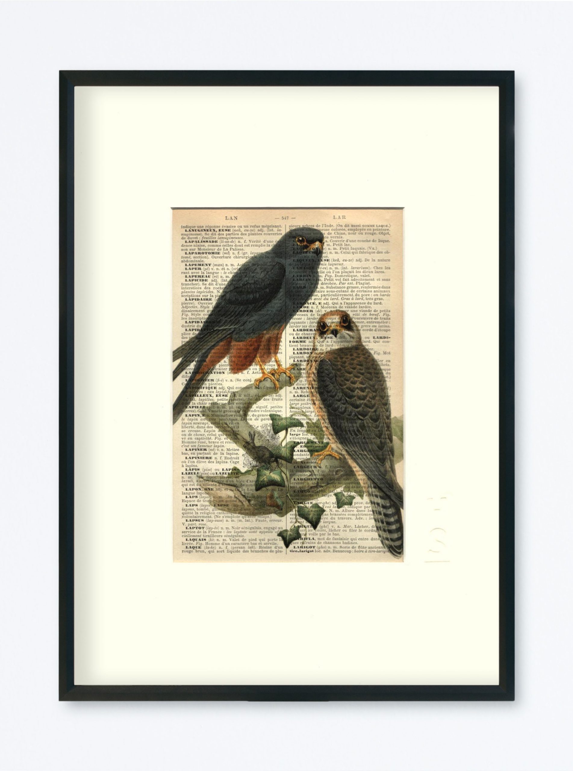 AFFICHE VINTAGE ÉPERVIER – Image 4