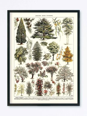 POSTER VINTAGE JARDINS