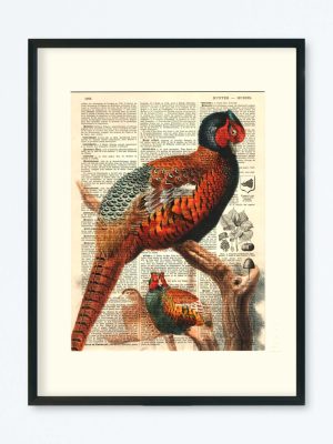 AFFICHE VINTAGE FAISAN