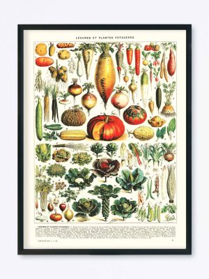 POSTER VINTAGE LÉGUMES ET PLANTES POTAGÈRES