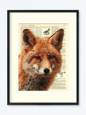 AFFICHE VINTAGE RENARD – COLLECTION CAMILLE DARBELLAY