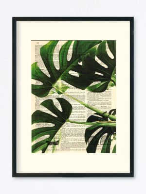 AFFICHE VINTAGE MONSTERA