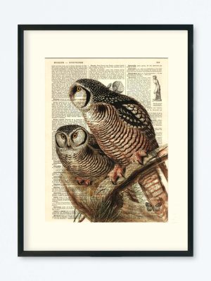 AFFICHE VINTAGE CHOUETTE