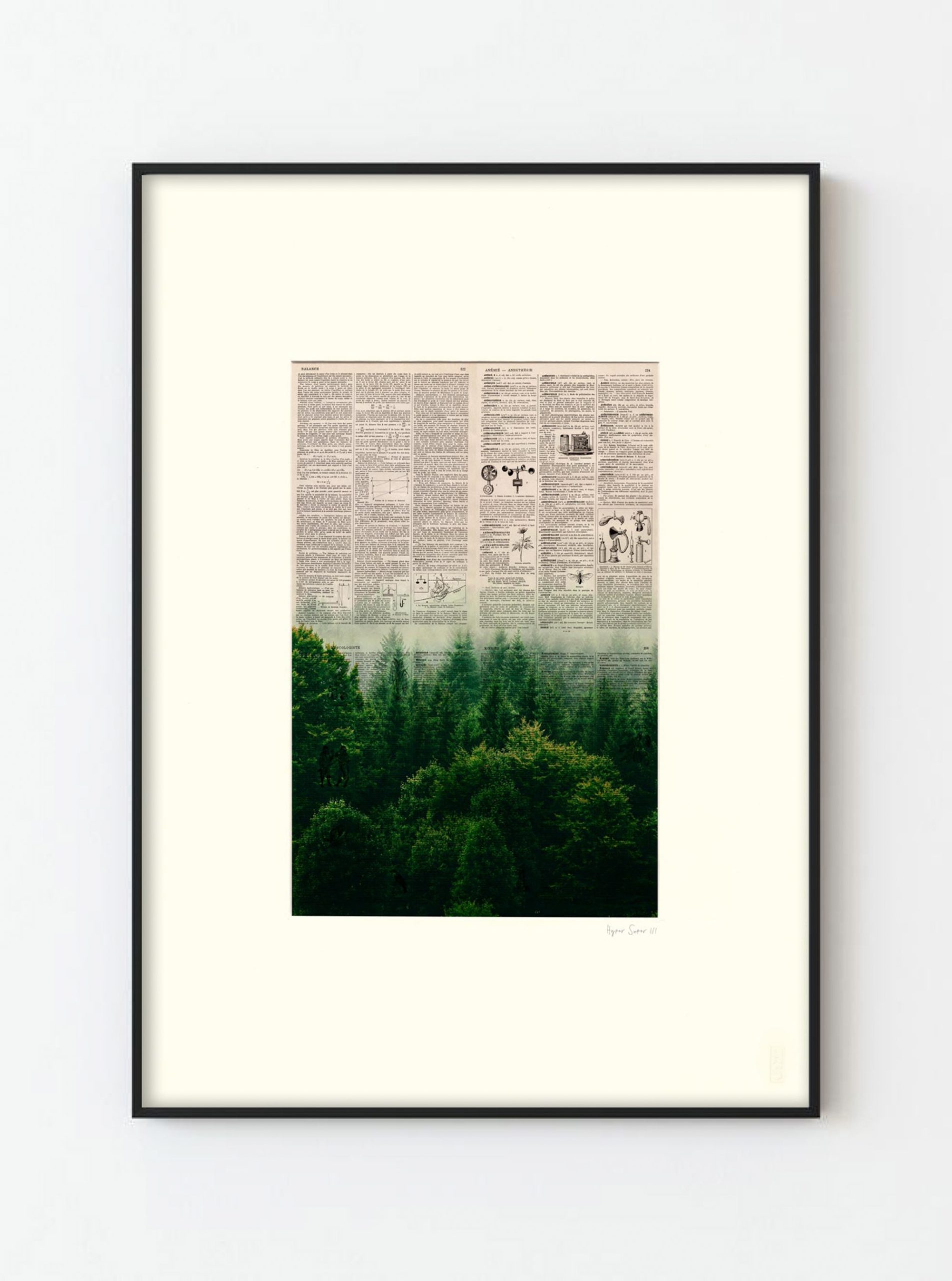 AFFICHE VINTAGE FORÊT – Image 5