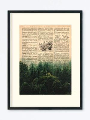 AFFICHE VINTAGE FORÊT