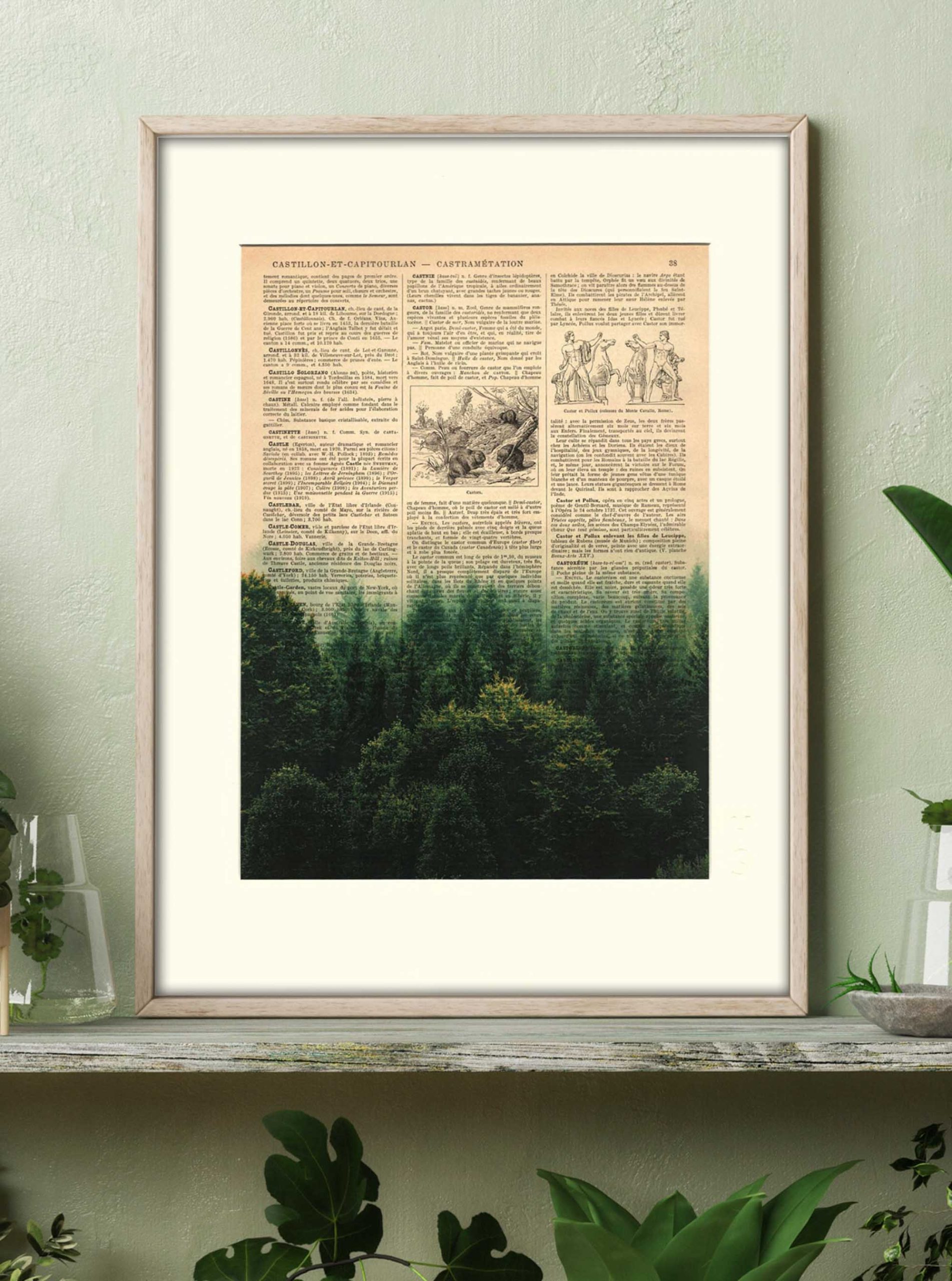 AFFICHE VINTAGE FORÊT – Image 2