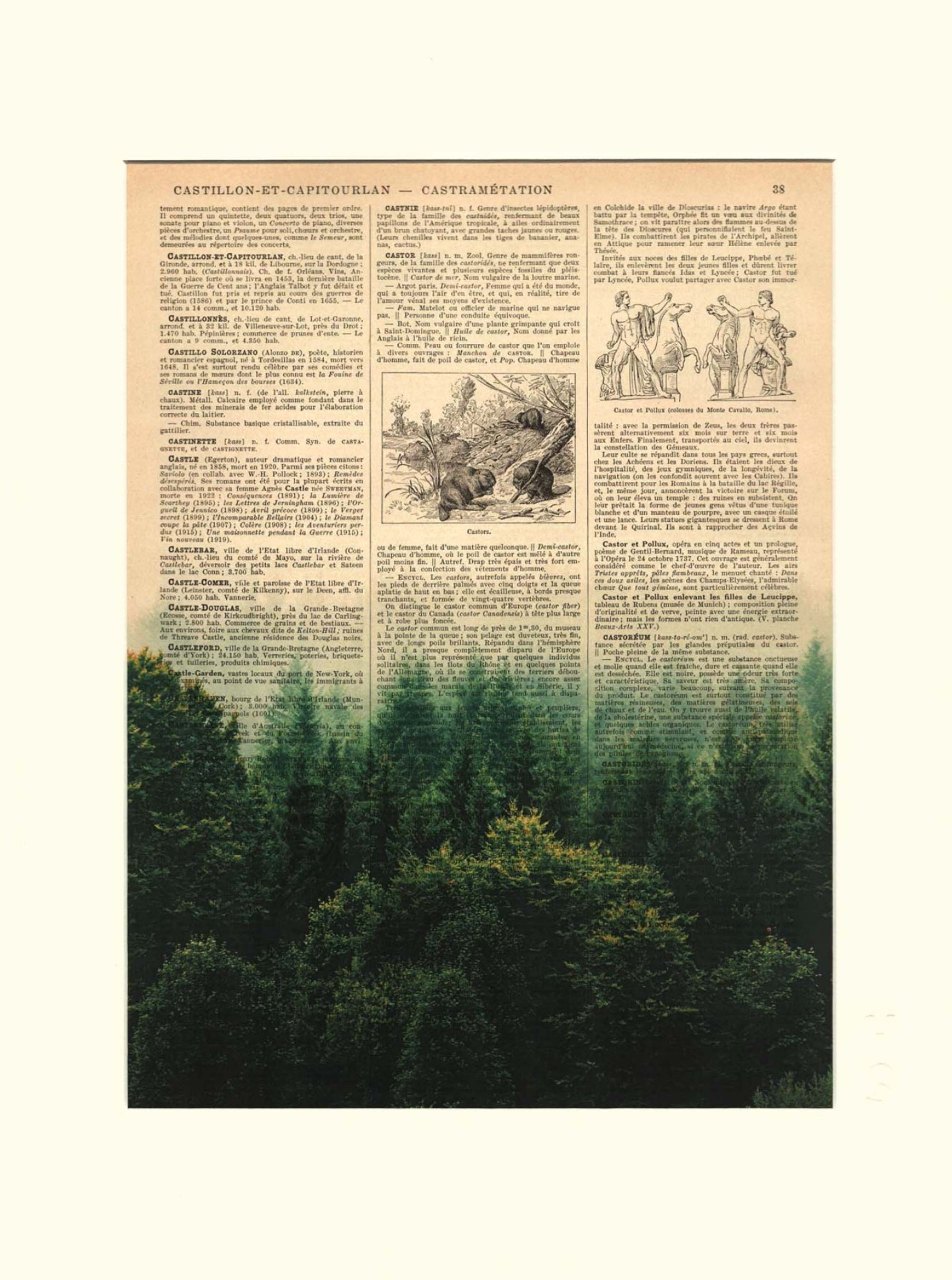 AFFICHE VINTAGE FORÊT – Image 3