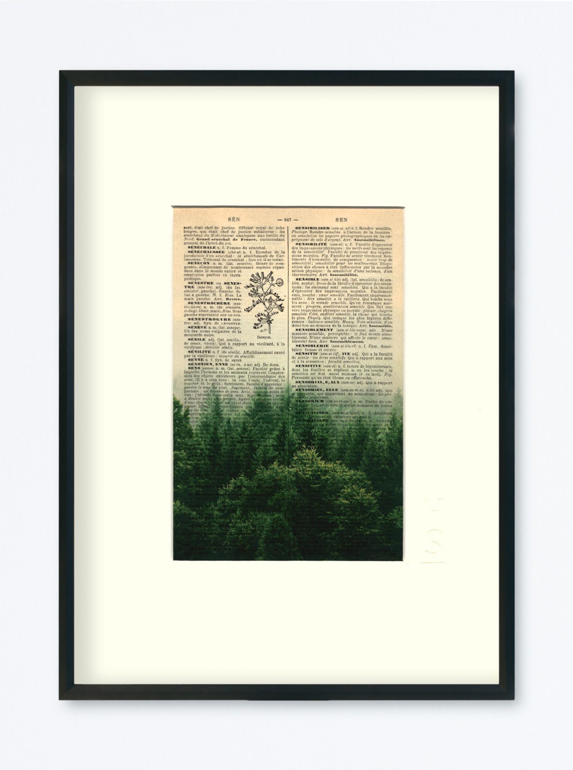 AFFICHE VINTAGE FORÊT – Image 4