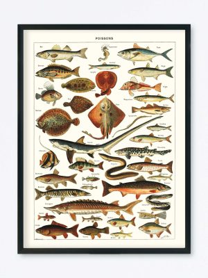 POSTER VINTAGE POISSONS