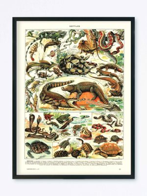 POSTER VINTAGE REPTILES
