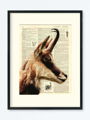 AFFICHE VINTAGE CHAMOIS – COLLECTION CAMILLE DARBELLAY