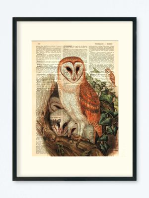 AFFICHE VINTAGE CHOUETTE EFFRAIE