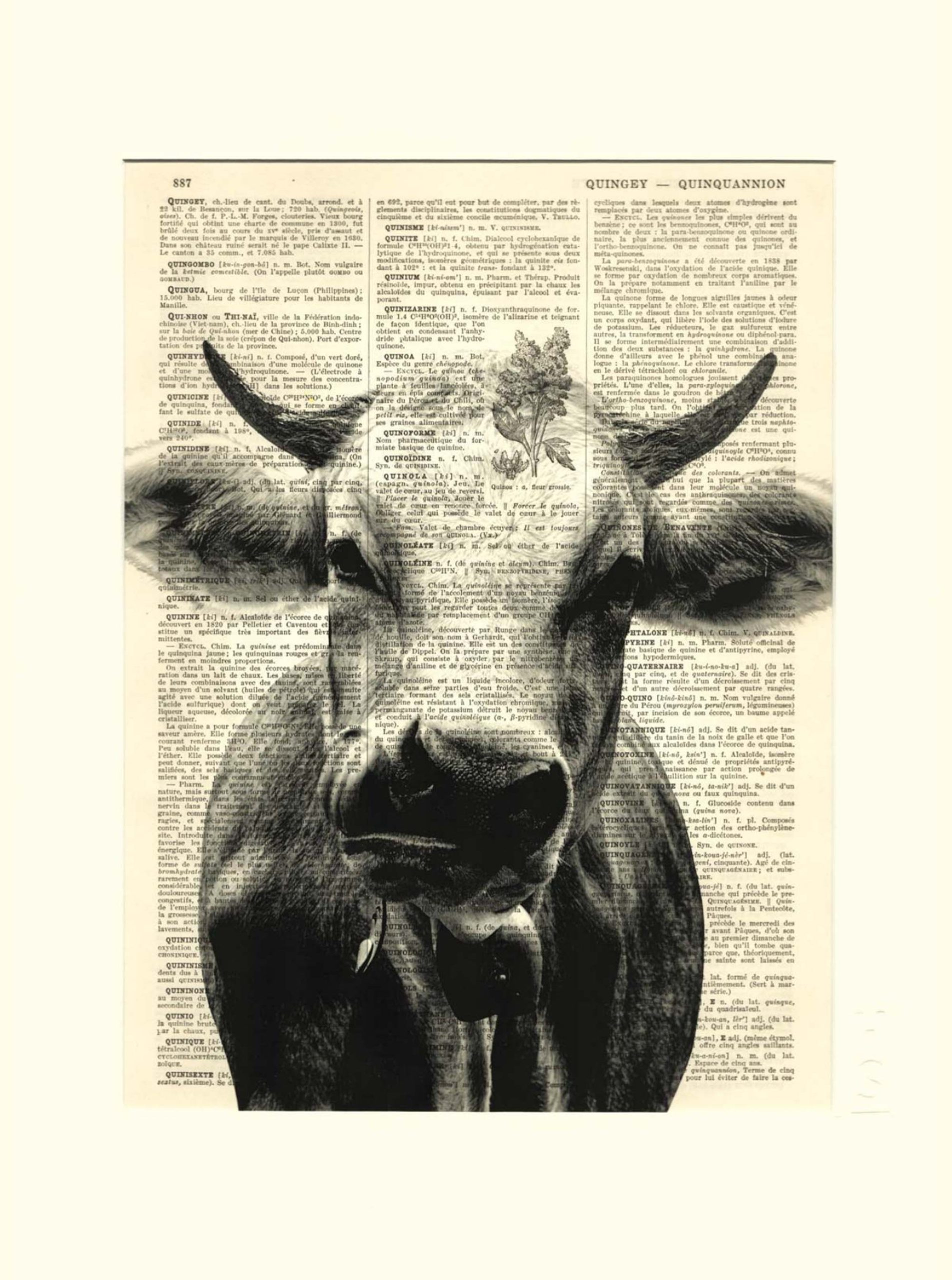 AFFICHE VINTAGE VACHE – Image 3