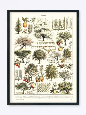 POSTER VINTAGE VERGER