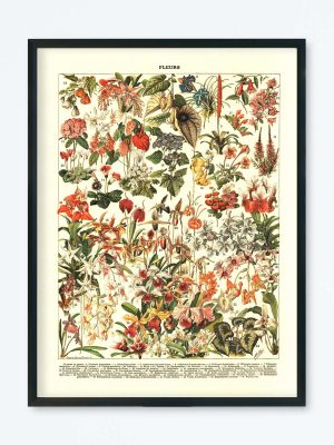 POSTER VINTAGE FLEURS