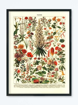 POSTER VINTAGE FLEURS