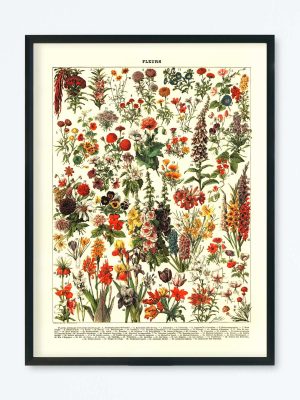 POSTER VINTAGE FLEURS
