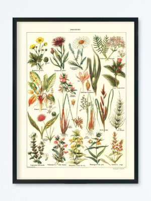 POSTER VINTAGE PRAIRIES