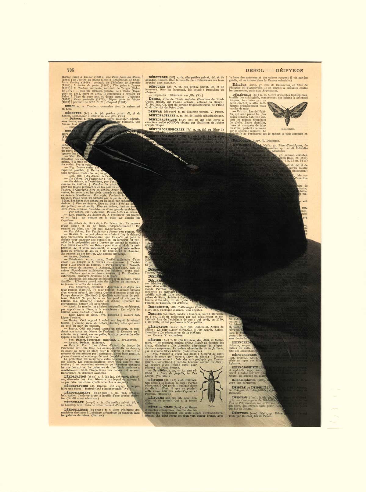 AFFICHE VINTAGE PINGOUIN – COLLECTION CAMILLE DARBELLAY – Image 2