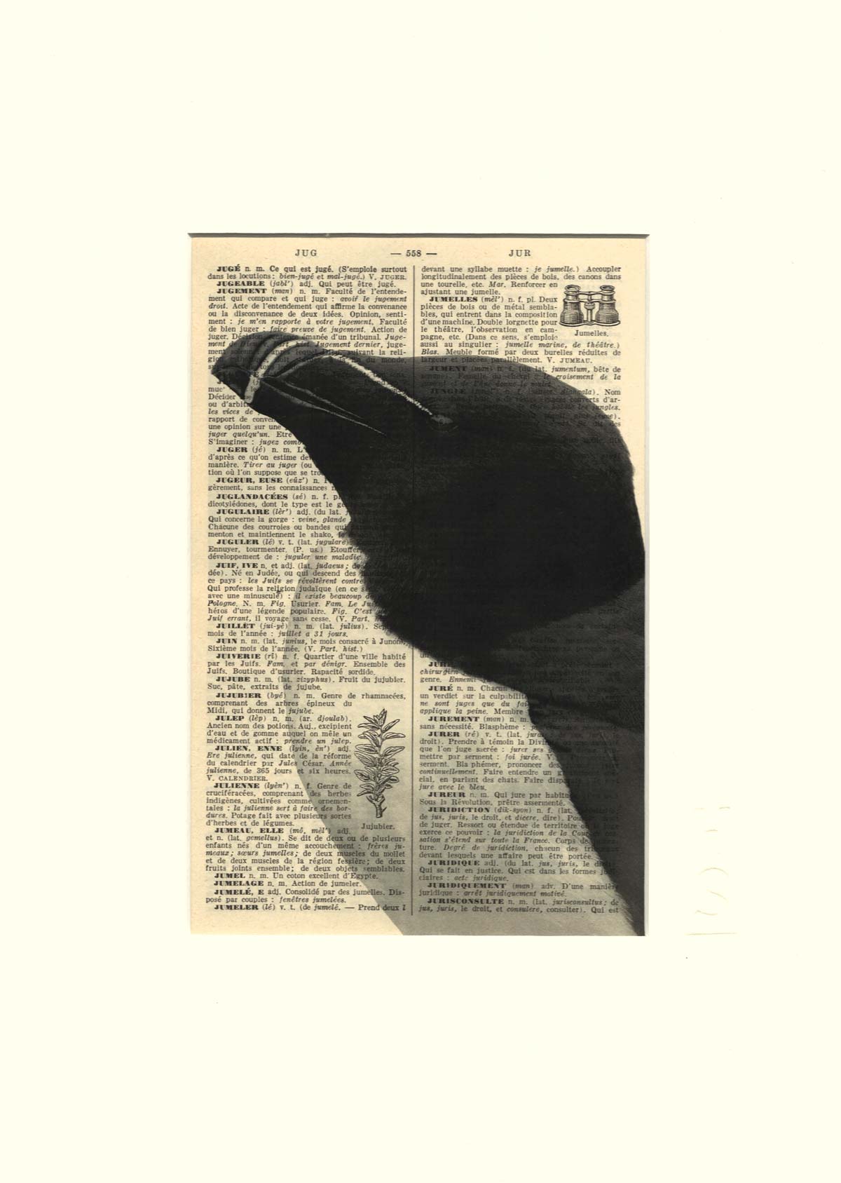 AFFICHE VINTAGE PINGOUIN – COLLECTION CAMILLE DARBELLAY – Image 3