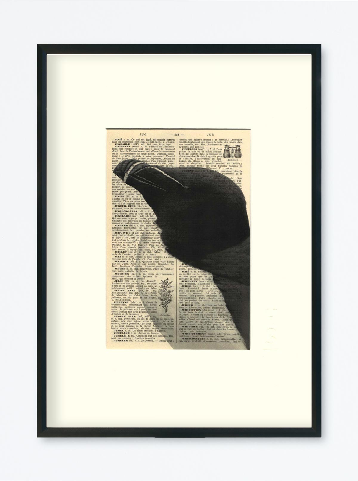 AFFICHE VINTAGE PINGOUIN – COLLECTION CAMILLE DARBELLAY – Image 5