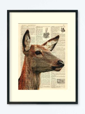 AFFICHE VINTAGE BICHE – COLLECTION CAMILLE DARBELLAY
