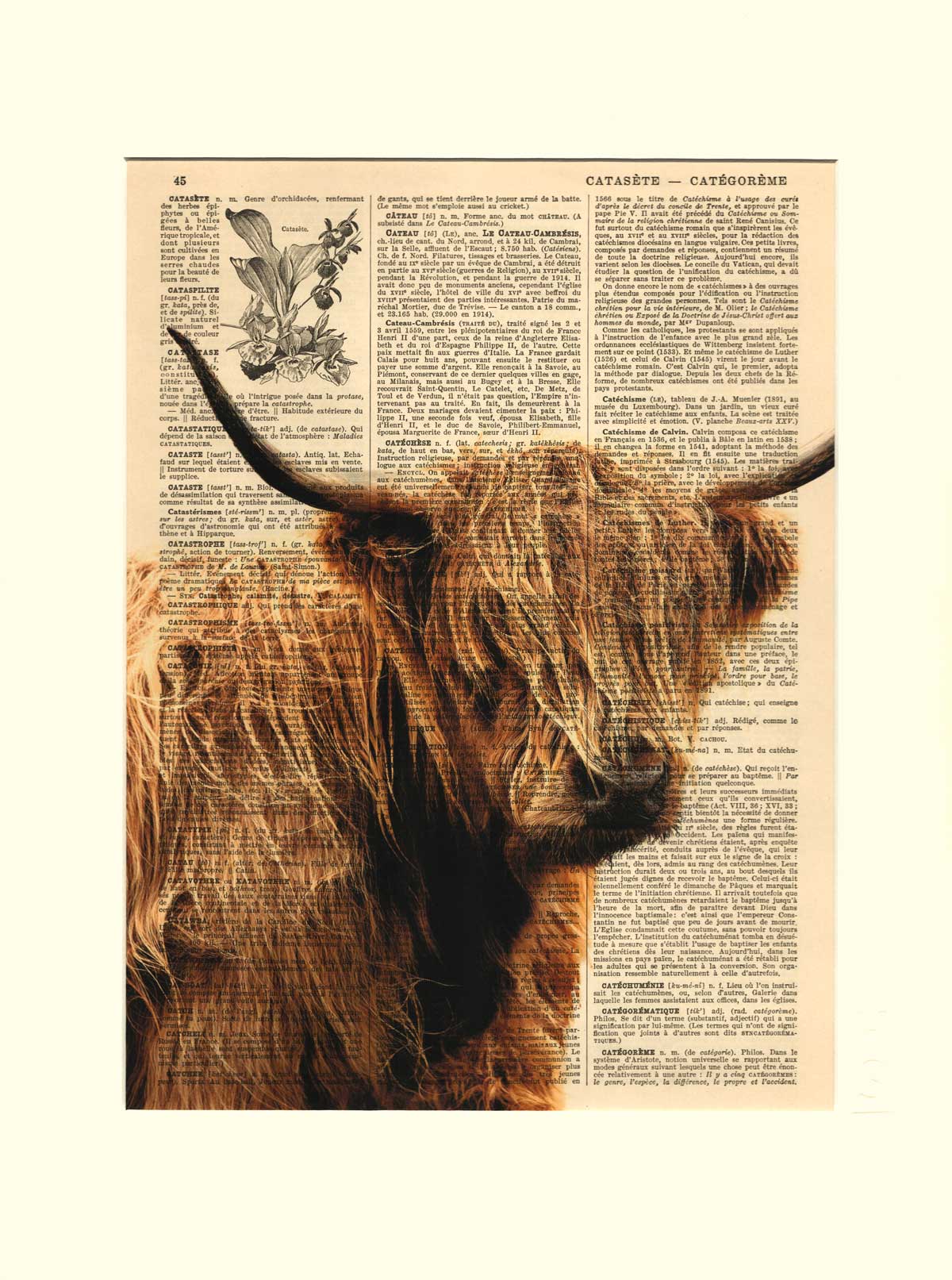 AFFICHE VINTAGE VACHE ECOSSAISE – COLLECTION CAMILLE DARBELLAY – Image 2