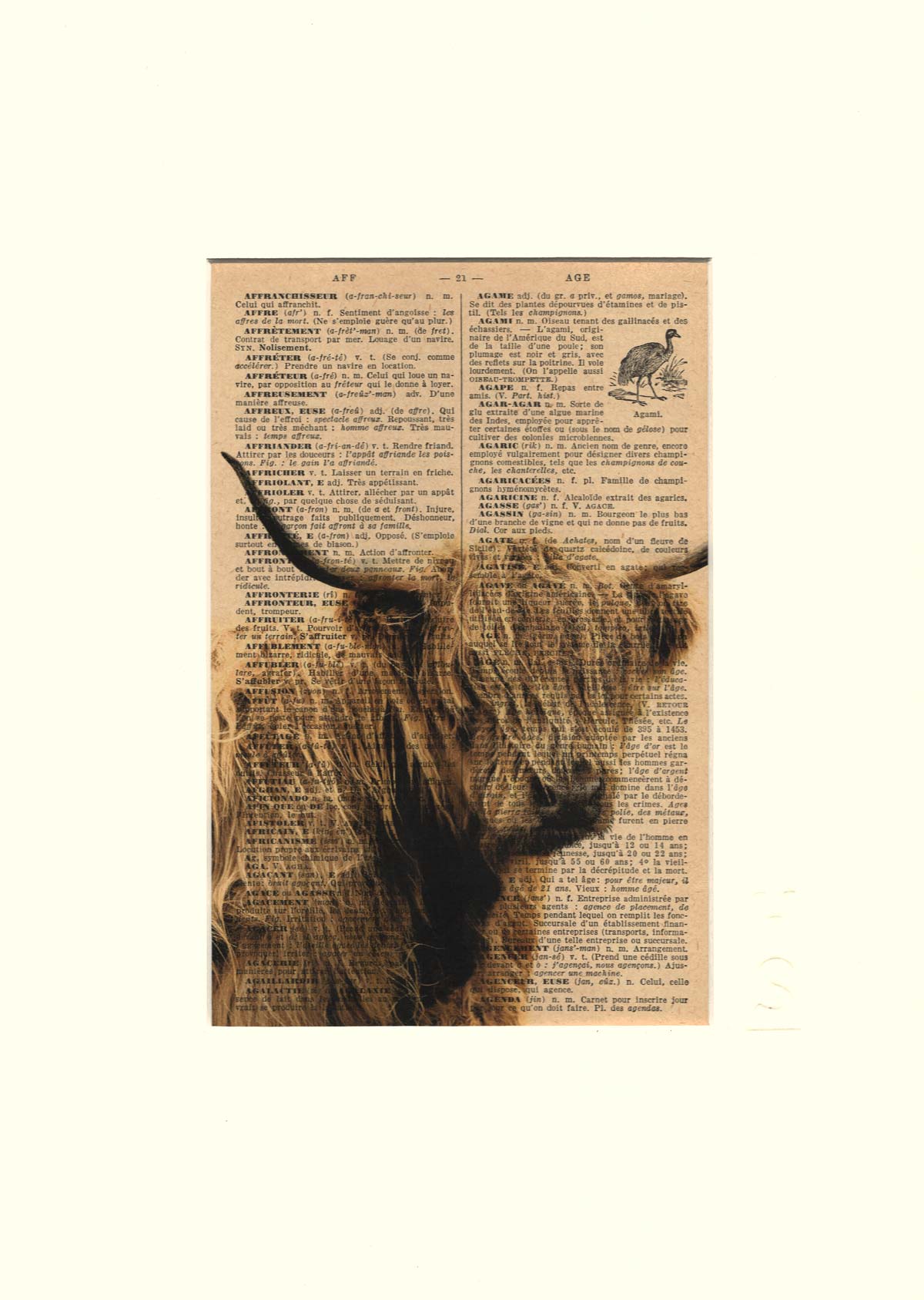 AFFICHE VINTAGE VACHE ECOSSAISE – COLLECTION CAMILLE DARBELLAY – Image 3