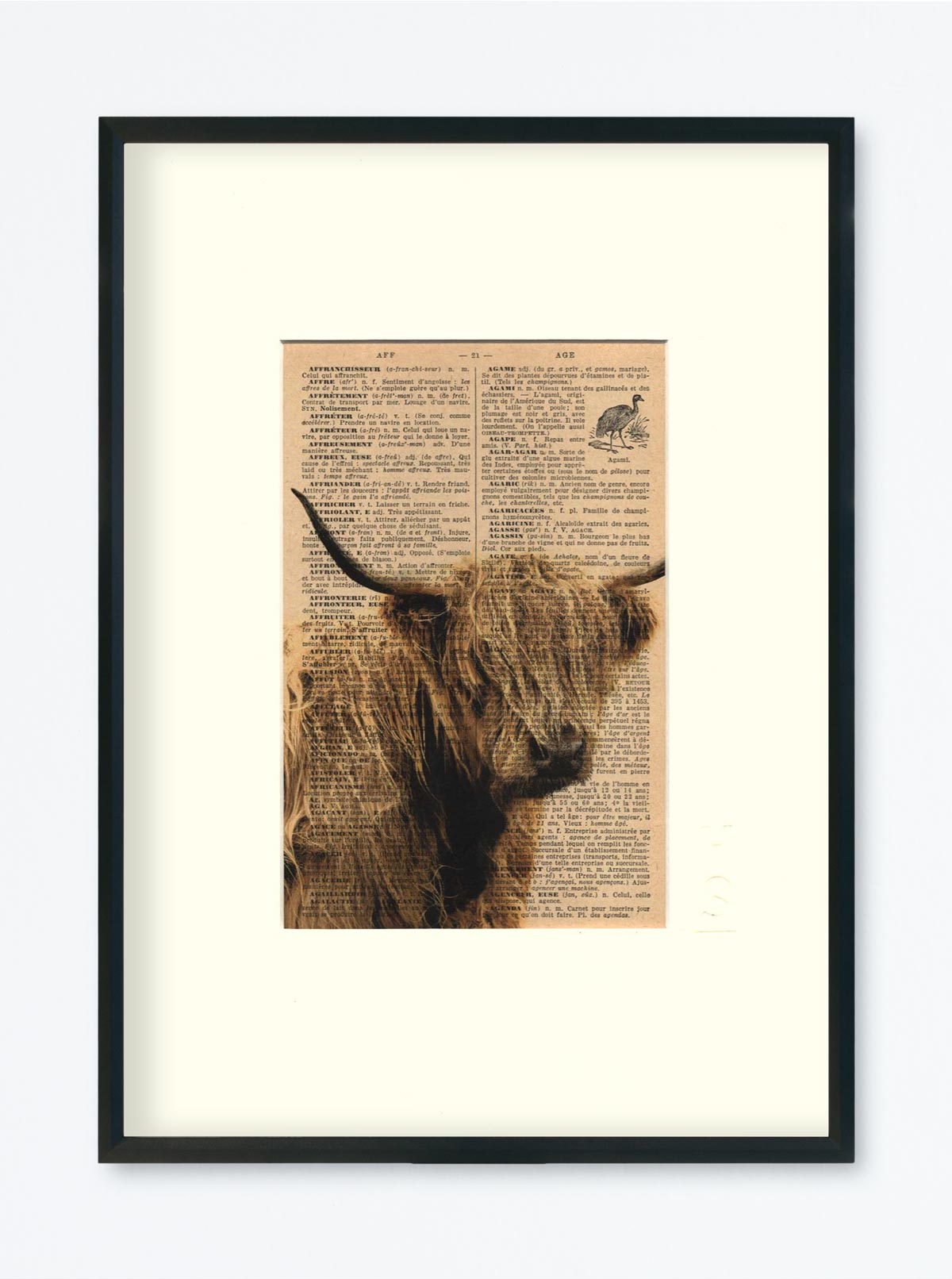 AFFICHE VINTAGE VACHE ECOSSAISE – COLLECTION CAMILLE DARBELLAY – Image 5