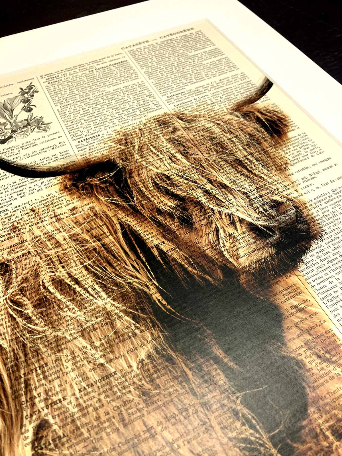 AFFICHE VINTAGE VACHE ECOSSAISE – COLLECTION CAMILLE DARBELLAY – Image 4