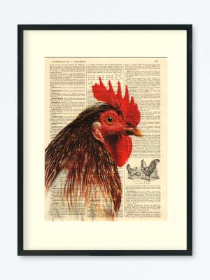 AFFICHE VINTAGE POULE III