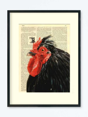 AFFICHE VINTAGE POULE II