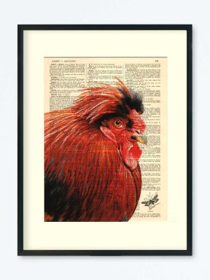 AFFICHE VINTAGE POULE I