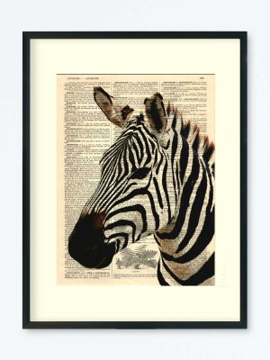 AFFICHE VINTAGE ZÈBRE AFRIQUE